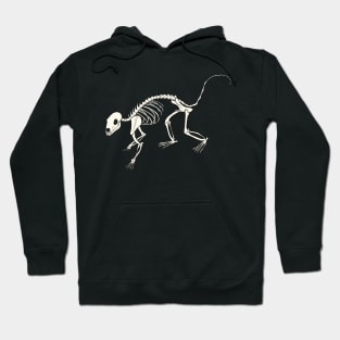 Quoll Skeleton Hoodie